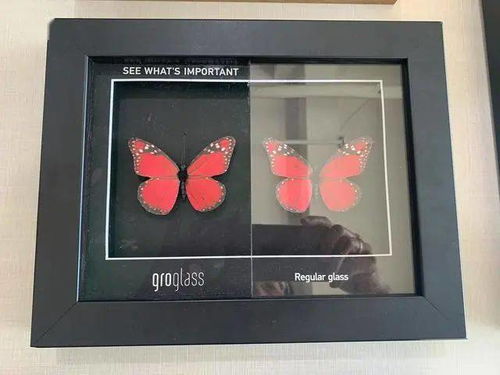 特想文化集團‘雪峰印象’系列化妝品獲業界廣泛關注及青睞